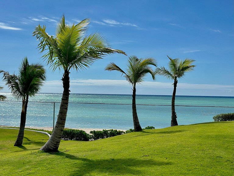 U-GO CapCana Punta Palmera en front de mer