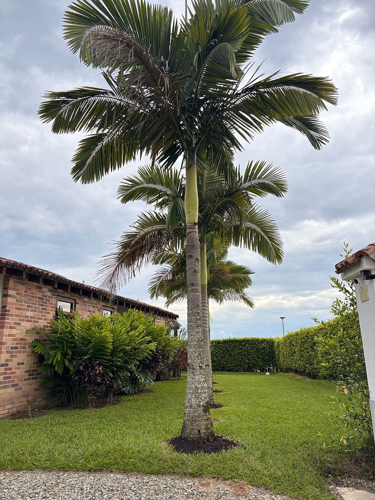 Casa Toledo Quindío
